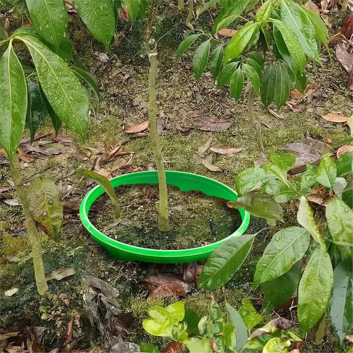 【OFERTA DE Cuenta Regresiva】 4 - Gardening Tools Deals reseña y precio