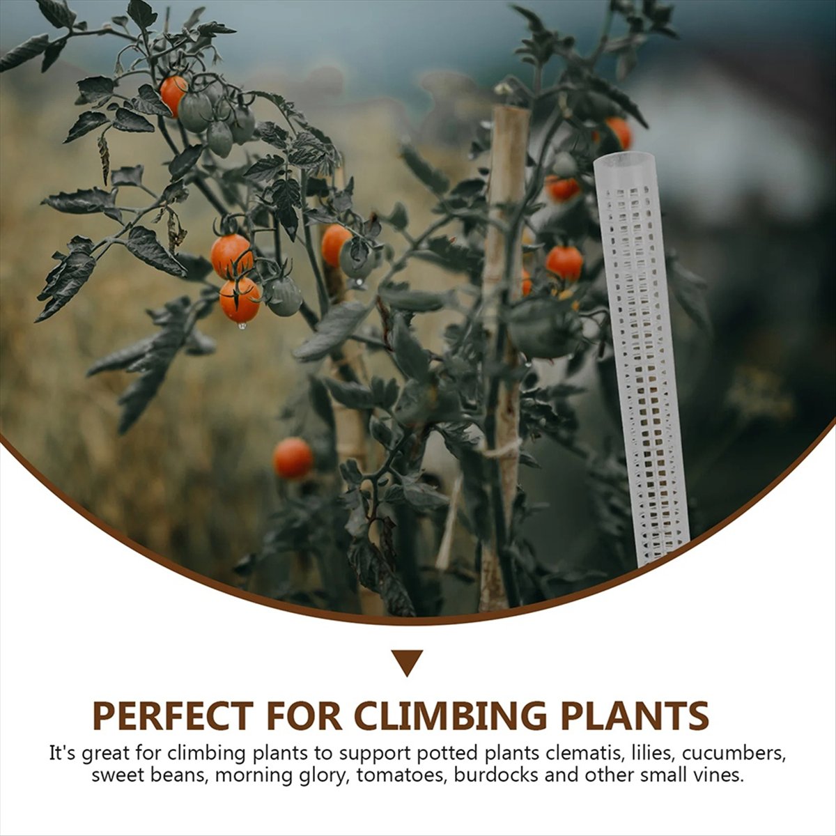 ABCD Soporte de Columna Portát - Gardening Tools reseña y precio