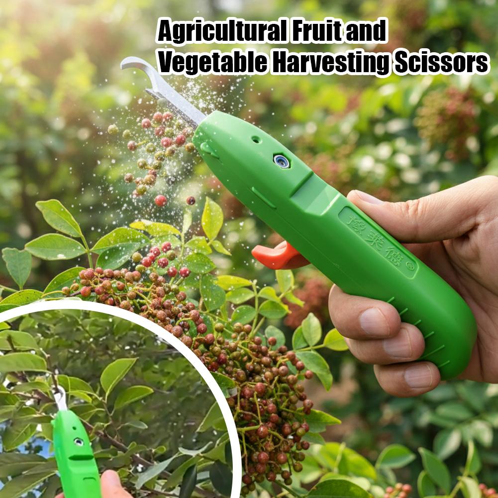 Tijeras para recoger frutas y  - Gardening Tools Combo reseña y precio