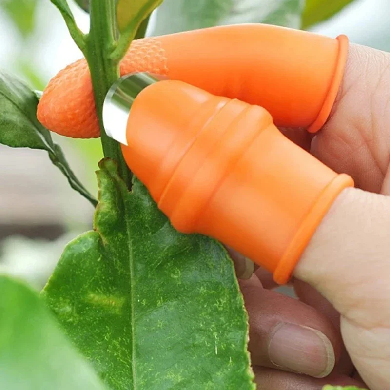 Cuchillo de Pulgar para Recoge - Gardening Tools Knife reseña y precio