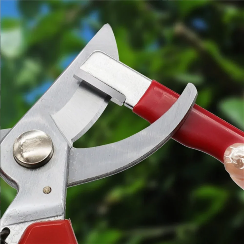 Afilador de Cuchillos Portátil - Gardening Tools Knife reseña y precio