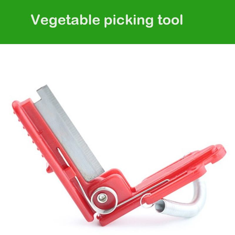 Separador de cuchillos, herram - Gardening Tools Knife reseña y precio