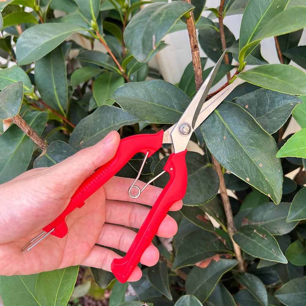 Tijeras de Podar Profesionales - Gardening Tools Combo reseña y precio
