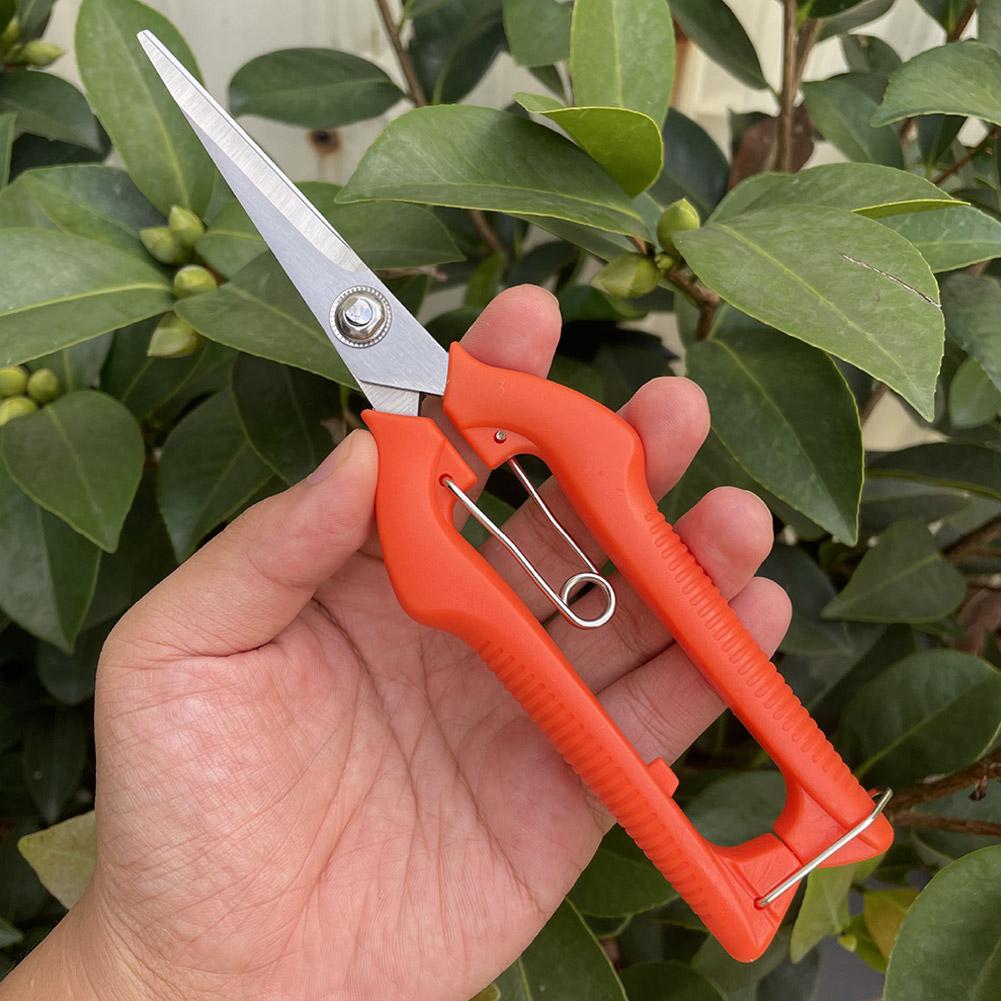 Tijeras de Podar Profesionales - Gardening Tools Combo reseña y precio
