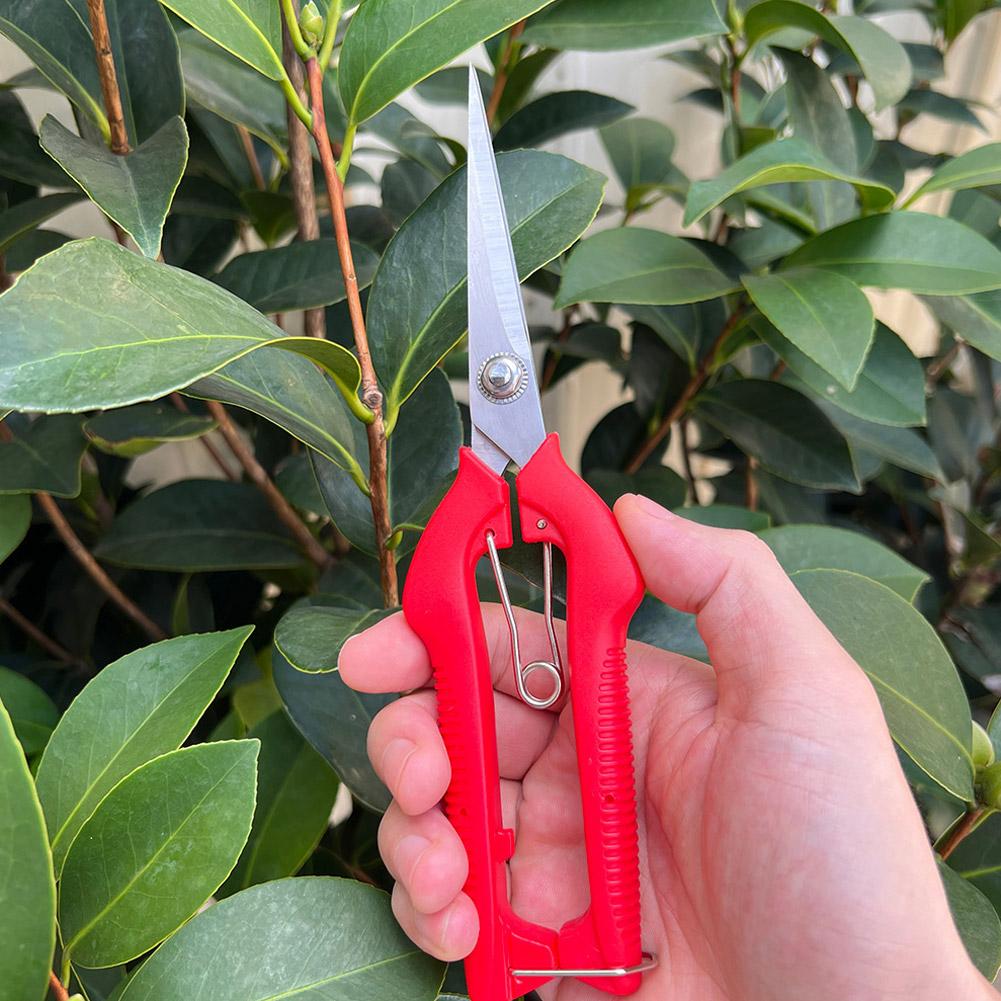 Tijeras de Podar Profesionales - Gardening Tools Combo reseña y precio