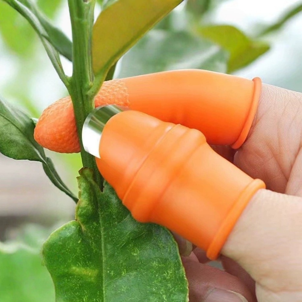 Cuchillo de Pulgar de Acero In - Gardening Tools Knife reseña y precio